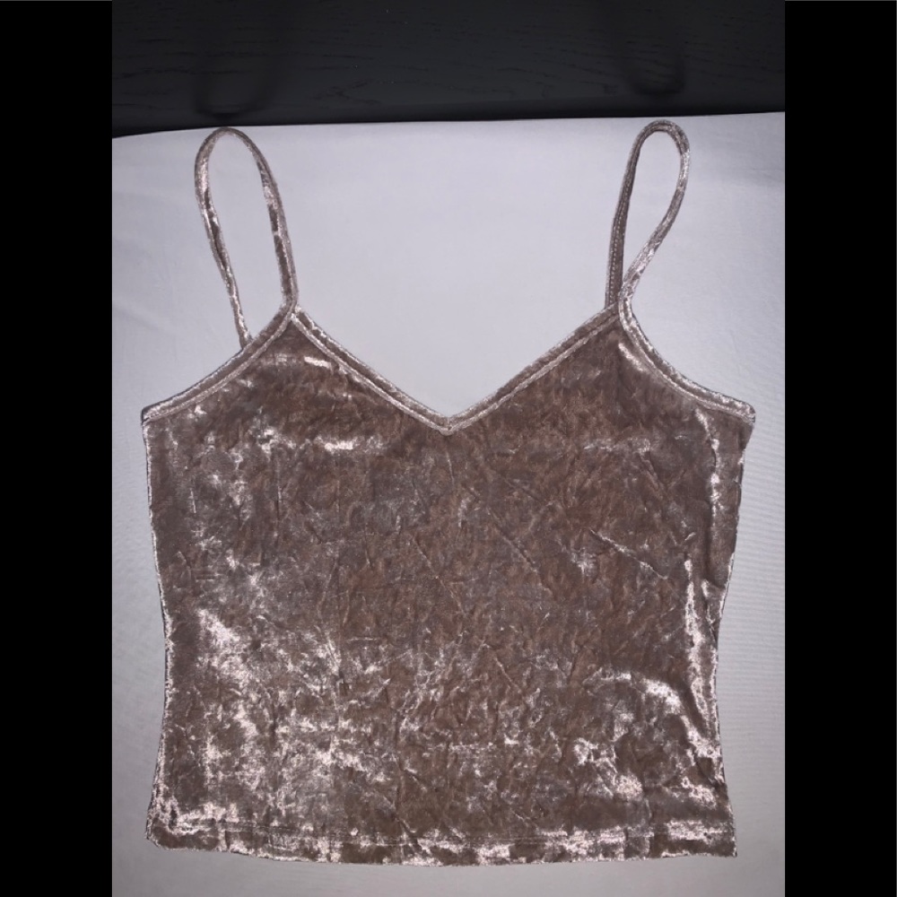 Velvet, champagne colored crop top.